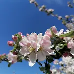 Ehemalige Revierfoersterei 