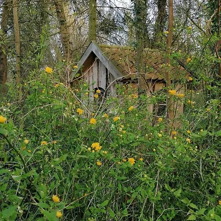 Ehemalige Revierfoersterei 